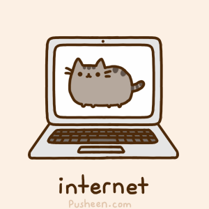 cat internet