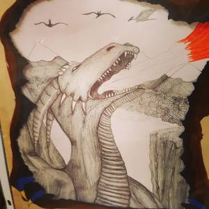 12725084_546525282192949_1333315569_n