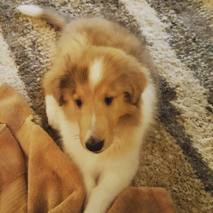 IMG_20170430_103724_188